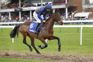 78F9311 Fontaine Collonges