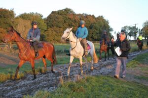 B96E0011 Nigel Twiston Davies   Bristol De Mai