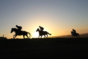 B96E0034 Early morning gallops at Nigel Twiston Davies