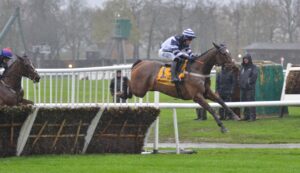 DSC 0048 Steel Ally