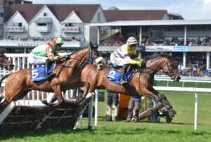 DSC 0202 Playful Saint