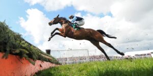 DSC 1637 Edwardstone