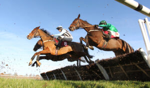 EN4D2912 Park Annonciade