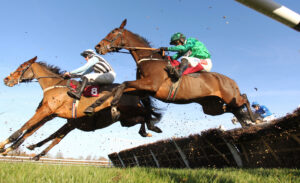 EN4D2913 Park Annonciade