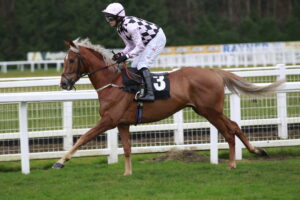 X5B2908 Secret Squirrel