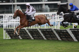 X5B2918 Secret Squirrel