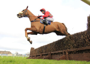 16B8385 Hurlerontheditch