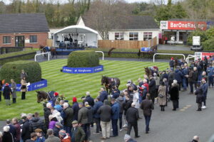 20J3299 Paddock at Fairyhouse