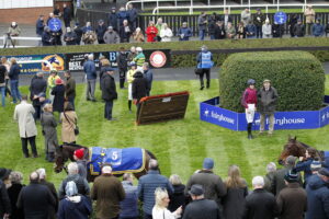 20J3315 Paddock at Fairyhouse