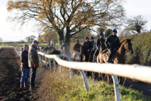 20J3839 Willie Mullins