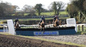 20J3847 Schooling at Willie Mullins stables