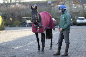 20J3875 Galopin Des Champs