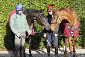 20J4126 Galopin Des Champs   State Man
