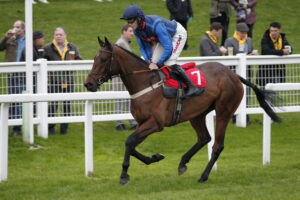 20J4627 Razzle Dazzle Boy