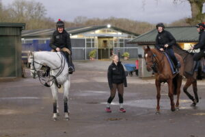 20J6084 Grey Dawning   Dan Skelton stables scene