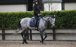 20J6090 L’Eau Du Sud   Bridget Andrews