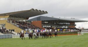 78F3267 Fairyhouse Stands