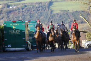 78F3775 After gallops at Willie Mullins stables