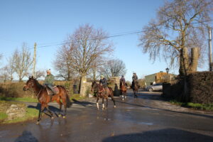 BK1A7472 Willie Mullins string crossing the road