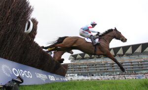 EN4D8657 Brave Kingdom