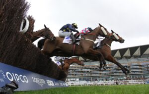 EN4D8681 Henry’s Friend