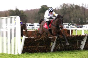 X5B9919 Knickerbockerglory