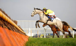 16B1549 Elorado Allen