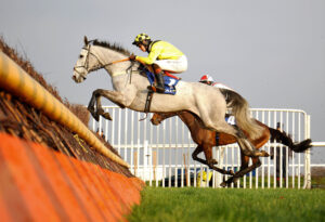 16B1550 Eldorado Allen