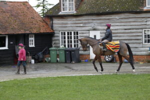 20J6427 Mr Vango
