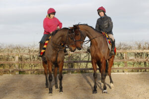 20J6521 Coneygree   Mr Vango