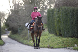 20J6530 Coneygree