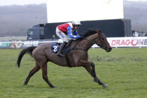 20J8896 Giantsgrave
