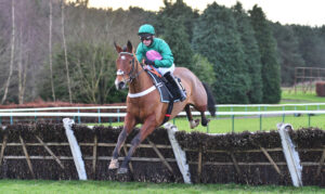 DSC 0129 Itstonitejosephine