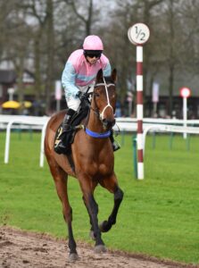 DSC 0208 Classic Maestro