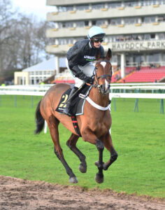 DSC 0264 Holloway Queen