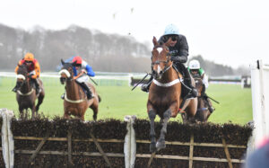 DSC 0283 Holloway Queen