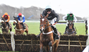 DSC 0287 Holloway Queen