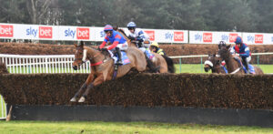 DSC 0387 Mr Vango
