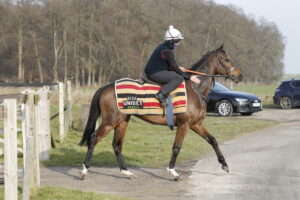 20J1400 Jonbon