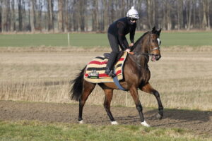 20J1408 Jonbon