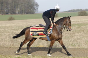 20J1412 Jonbon
