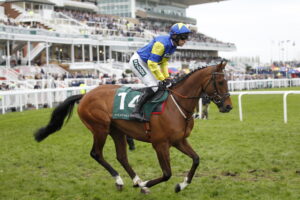 20J2731 Tripoli Flyer