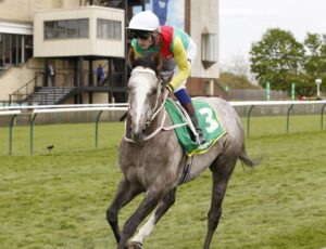 20J4171 Champagne Prince