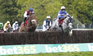 20J6580 Golden Son [right]