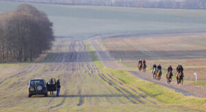 78F6989 Nicky Henderson   Gallops