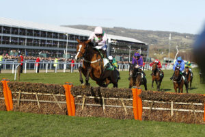 16B0410 Faugheen