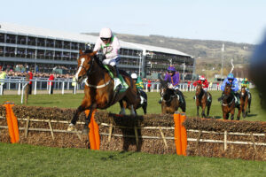 16B0411 Faugheen