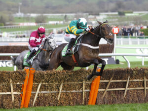 2017  16B5425 Buveur D’Air