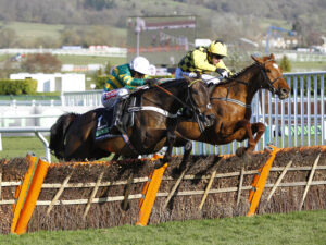 2018  16B1151 Buveur D’Air