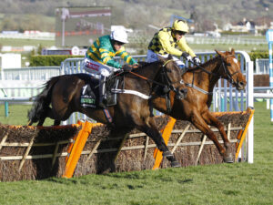 2018  16B1152 Buveur D’Air